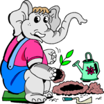 Gardener - Elephant