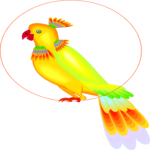 Parrot 20 Clip Art