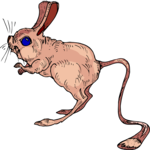 Jerboa 6