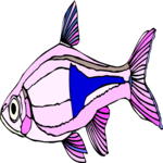 Harlequin Rasbora Clip Art