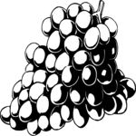 Grapes 08 Clip Art