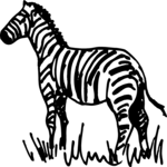 Zebra 06 Clip Art