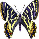 Butterfly 055
