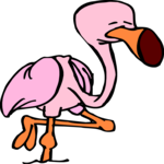 Flamingo 11