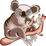 Koala 5