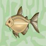 Fish 257