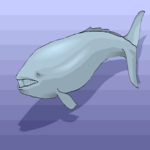 Whale 12