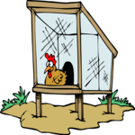 Chicken Coop