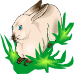 Rabbit 17 Clip Art