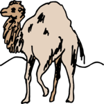 Camel 07 Clip Art