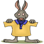 Rabbit with Shirt