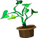 Plant 193 Clip Art