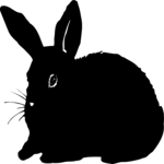 Rabbit 10