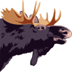 Moose 02 Clip Art