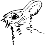 Rabbit 2