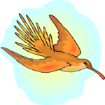 Hummingbird 14 Clip Art