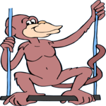 Monkey on Swing