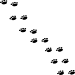 Pawprints 6