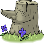 Tree Stump Smiling
