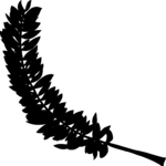 Feather 1