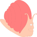 Snail 16