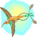 Hummingbird 15