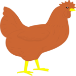 Chicken 03