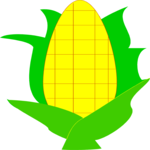 Corn 15