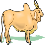 Brahma Bull Clip Art