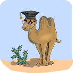 Graduate - Camel Clip Art