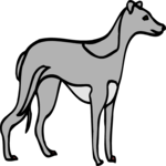 Grayhound