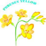 Phresey Yellow