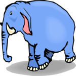 Elephant 22