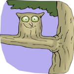 Tree-Owl Clip Art