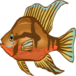 Cichlid - Firemouth