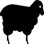 Sheep 2