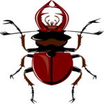 Beetle 16