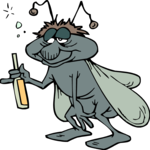 Fly - Drunk