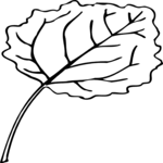 Leaf 029