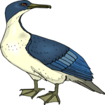 Bird 157