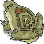 Frog 20 Clip Art