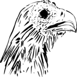 Eagle 1 Clip Art