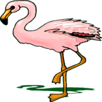 Flamingo 15