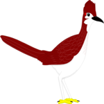 Roadrunner 1 Clip Art