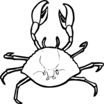 Crab 02