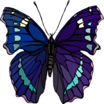 Butterfly 125