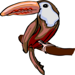 Toucan 05