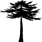 Tree - Silhouette 1