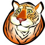 Tiger Face 6