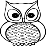 Owl 14